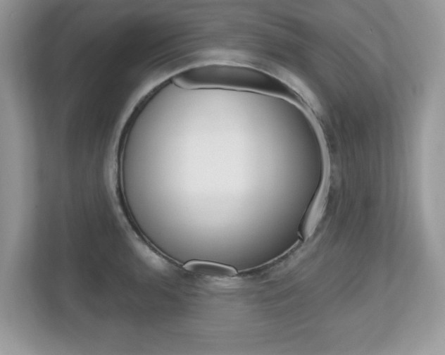 X0000112541136200908171200