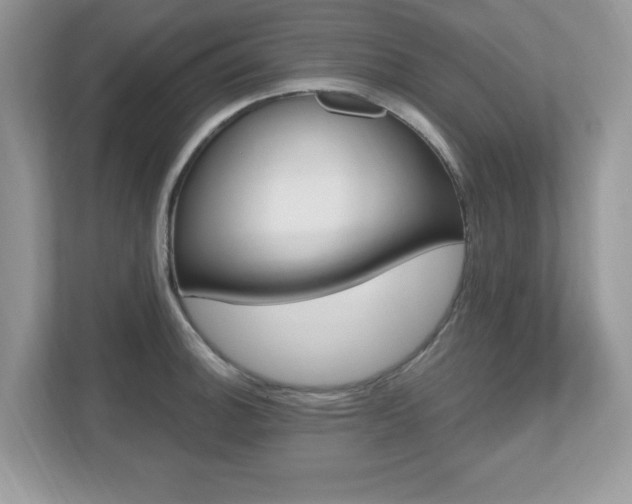 X0000112541140200908171200