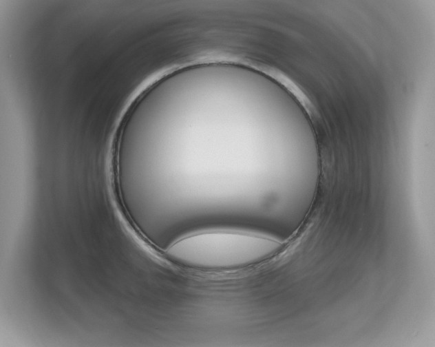 X0000112541142200908171200