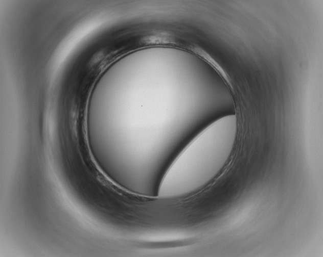 X0000112541151200908171200