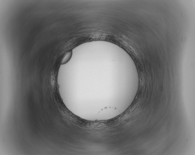 X0000112541154200908171200