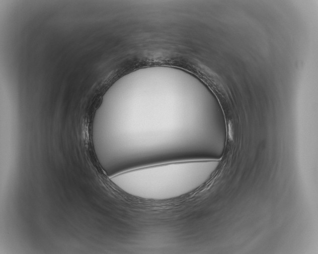 X0000112541155200908171200
