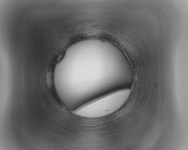 X0000112541156200908171159