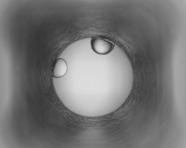 X0000112541157200908171159