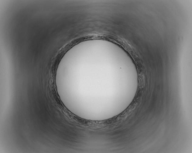X0000112541158200908171159