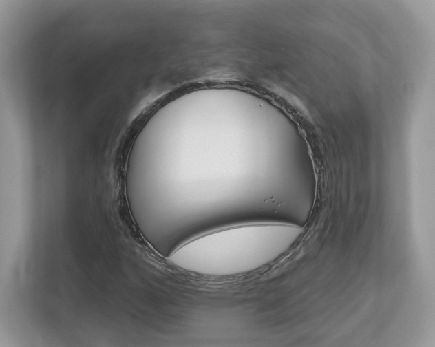 X0000112541160200908171159