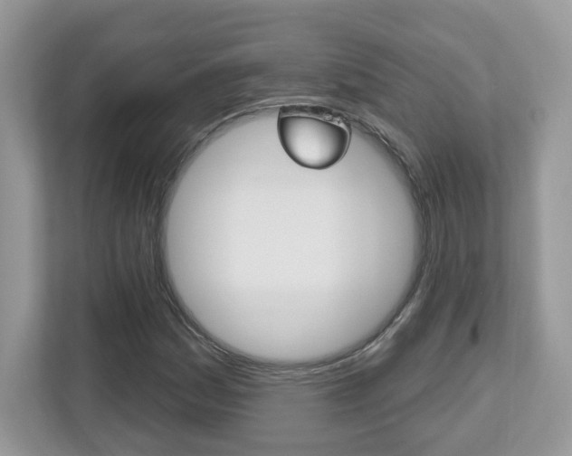 X0000112541161200908171159