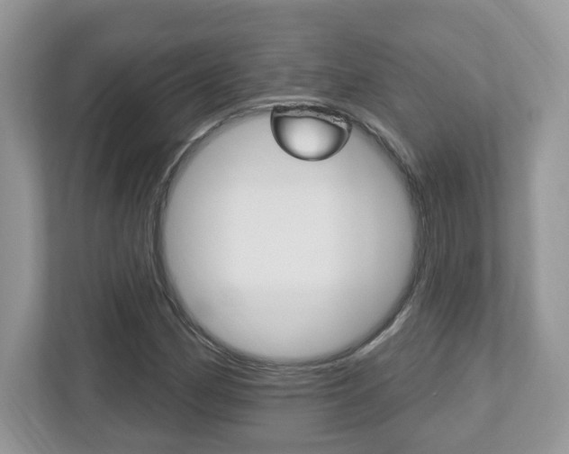 X0000112541162200908171159