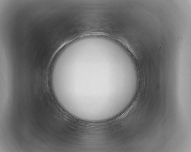 X0000112541165200908171159