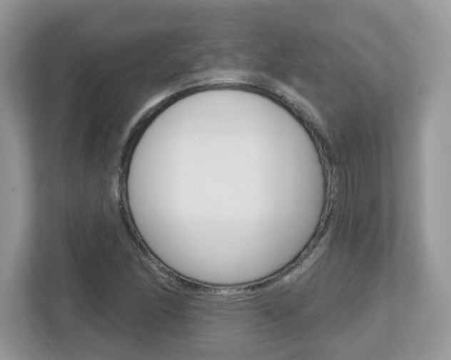X0000112541166200908171159
