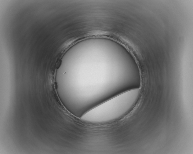 X0000112541169200908171159