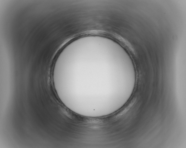 X0000112541170200908171159