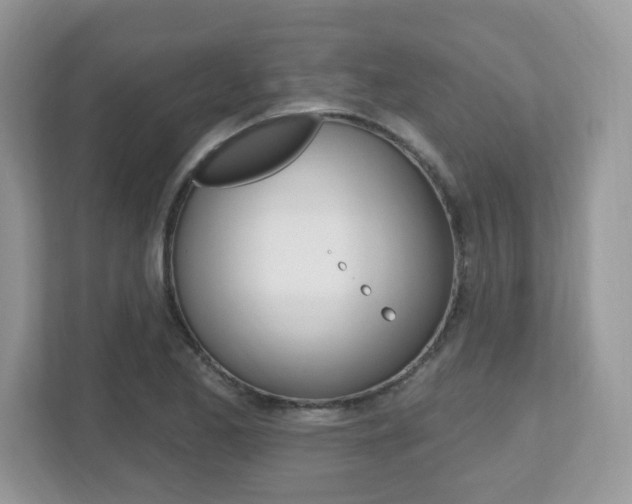 X0000112541173200908171159