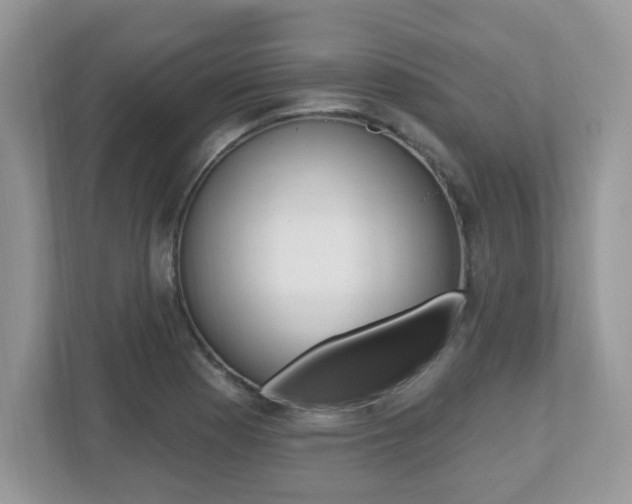 X0000112541177200908171159