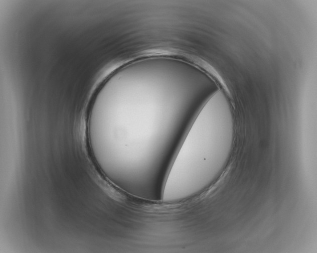 X0000112541179200908171159