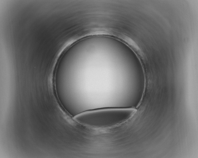 X0000112541181200908171159