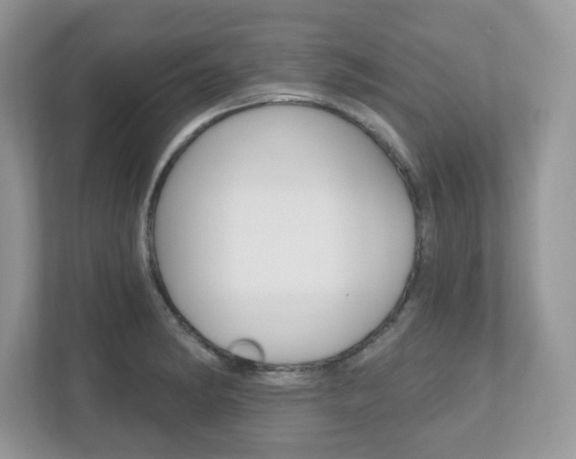 X0000112541182200908171159