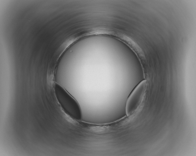 X0000112541185200908171159