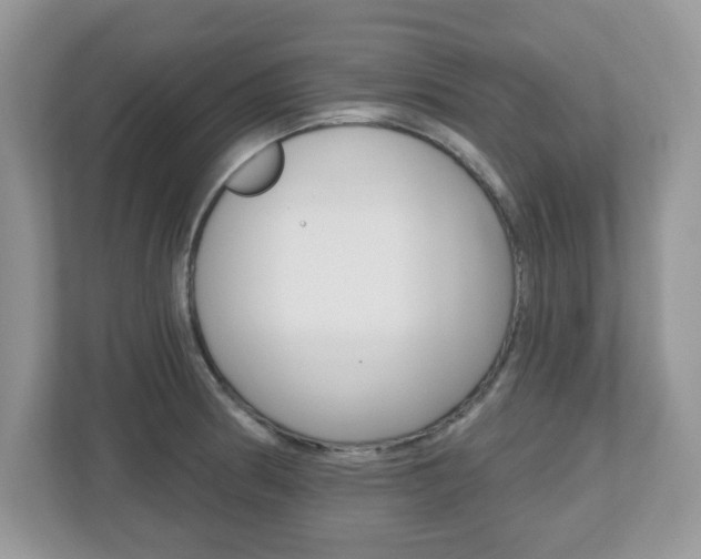 X0000112541186200908171159