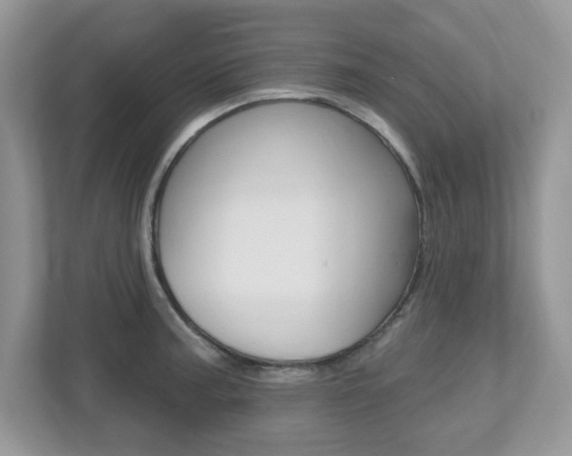 X0000112541187200908171159
