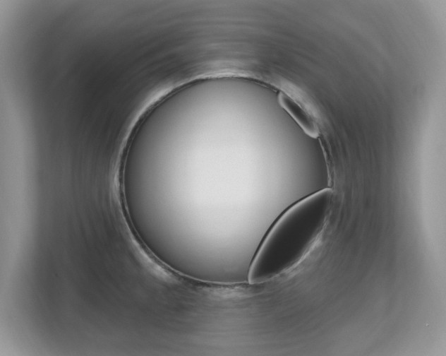 X0000112541189200908171159