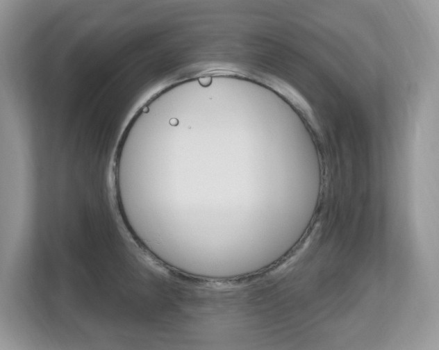 X0000112541190200908171159