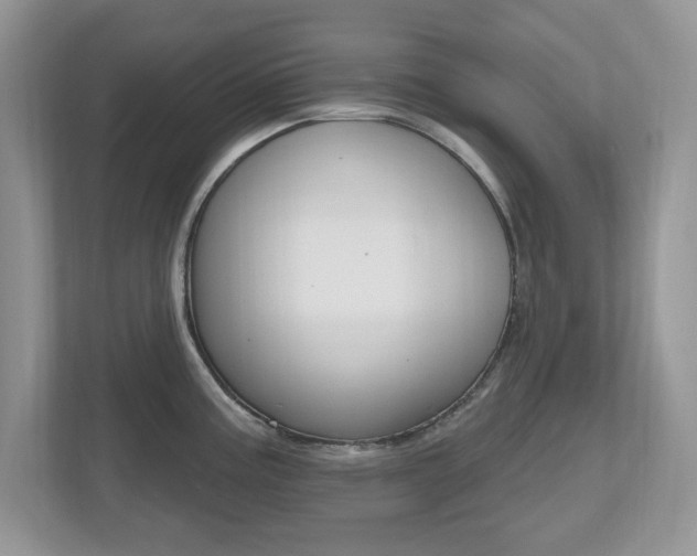 X0000112541195200908171159