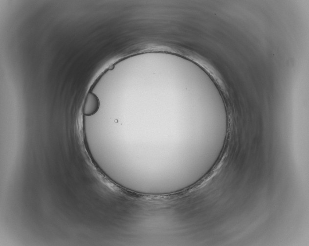 X0000112541198200908171159
