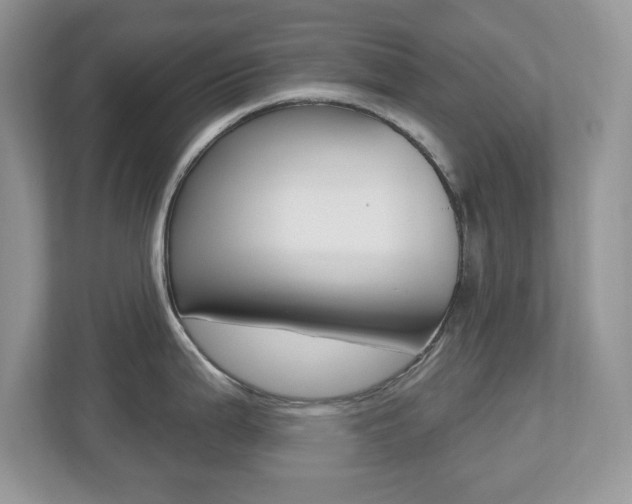 X0000112541199200908171159