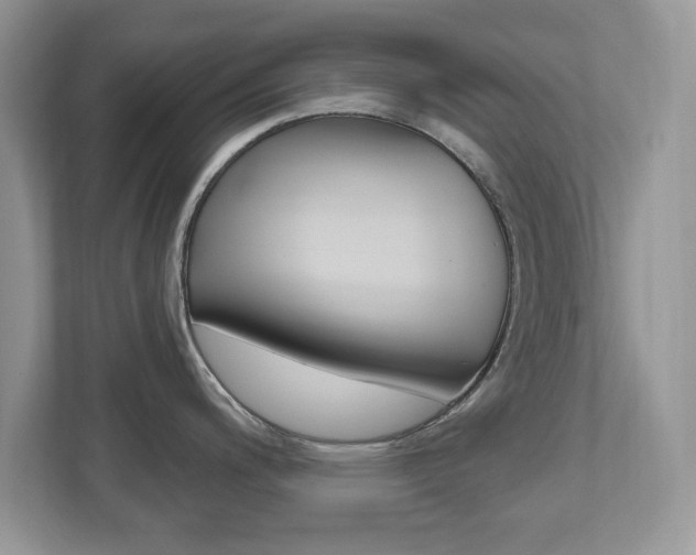 X0000112541200200908171159