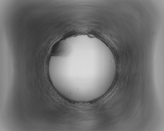 X0000112541201200908171158