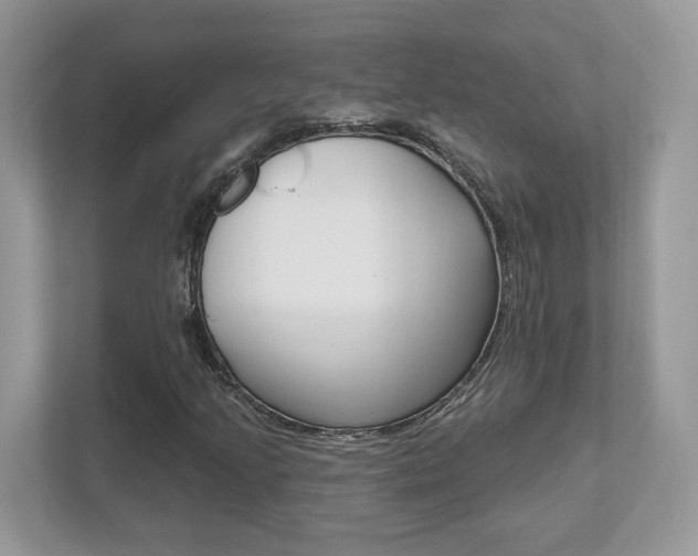X0000112541205200908171158