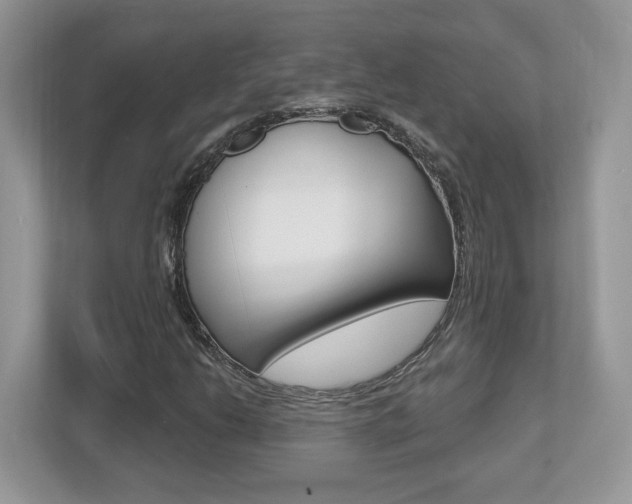 X0000112541206200908171158