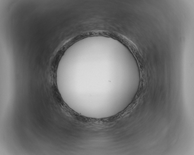 X0000112541207200908171158