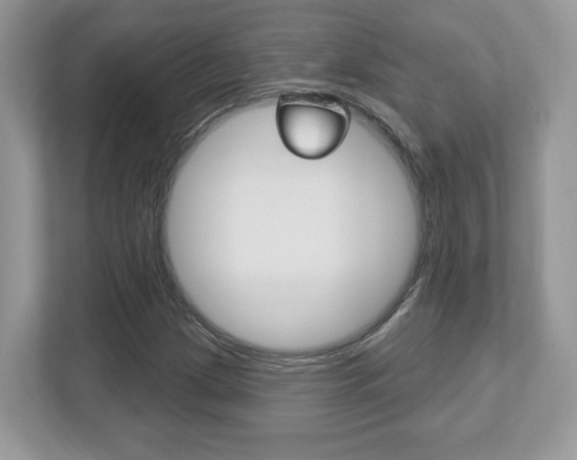 X0000112541209200908171158