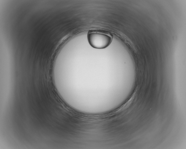 X0000112541210200908171158