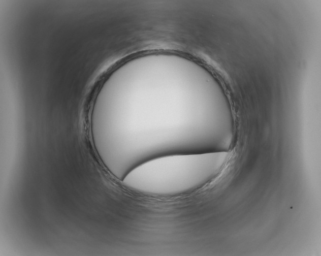 X0000112541215200908171158