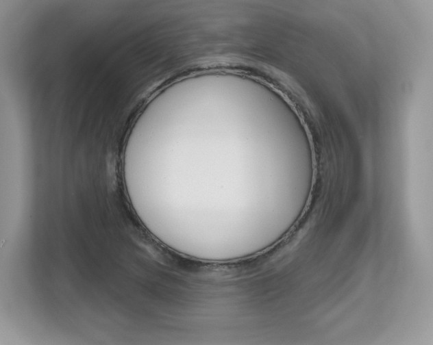 X0000112541217200908171159