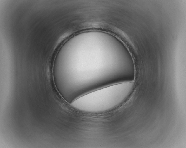 X0000112541218200908171159