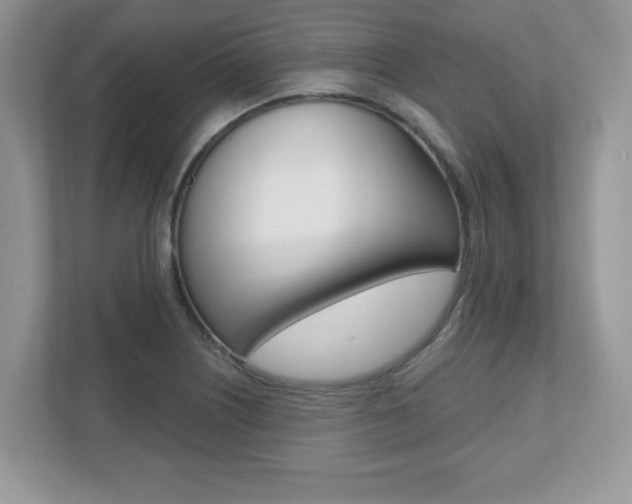 X0000112541226200908171159