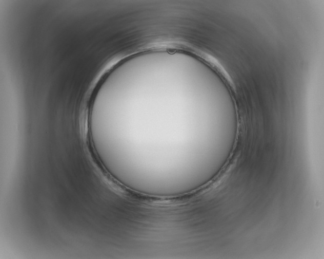 X0000112541227200908171159