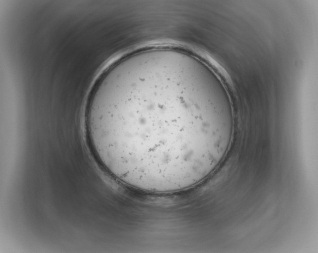 X0000112541229200908171159