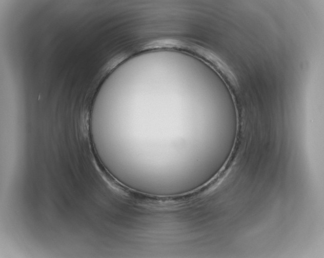 X0000112541233200908171159