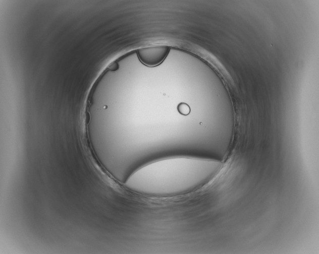 X0000112541236200908171159