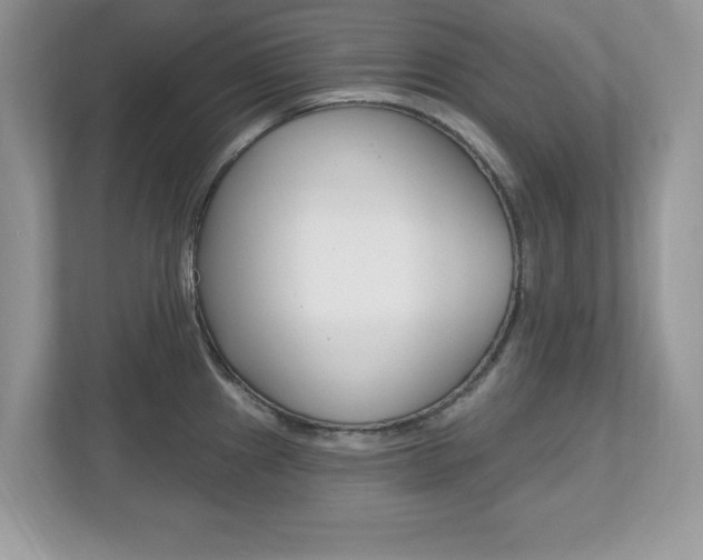 X0000112541241200908171159