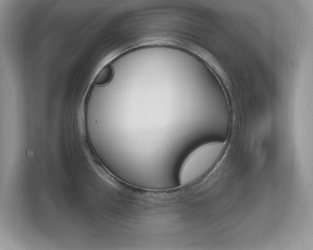 X0000112541242200908171159