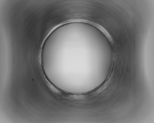 X0000112541244200908171159