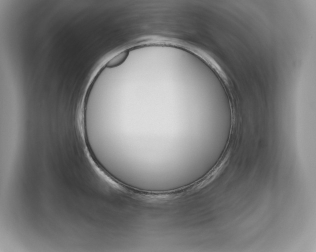 X0000112541247200908171159