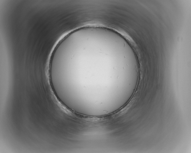 X0000112541248200908171159