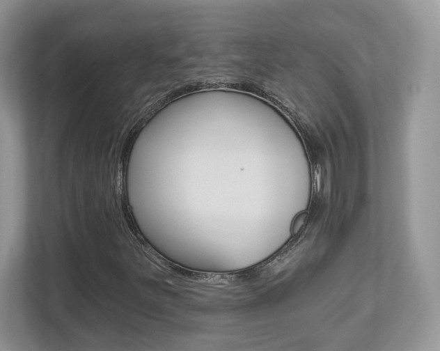 X0000112541251200908171158